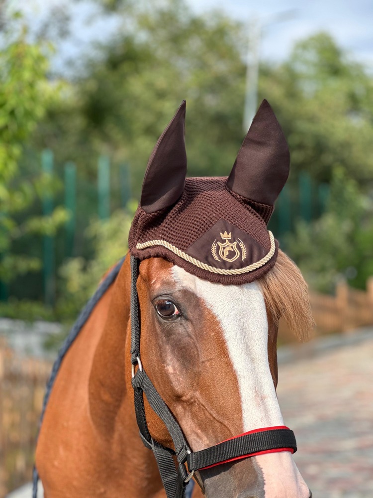 Kulaklık / Kahverengi