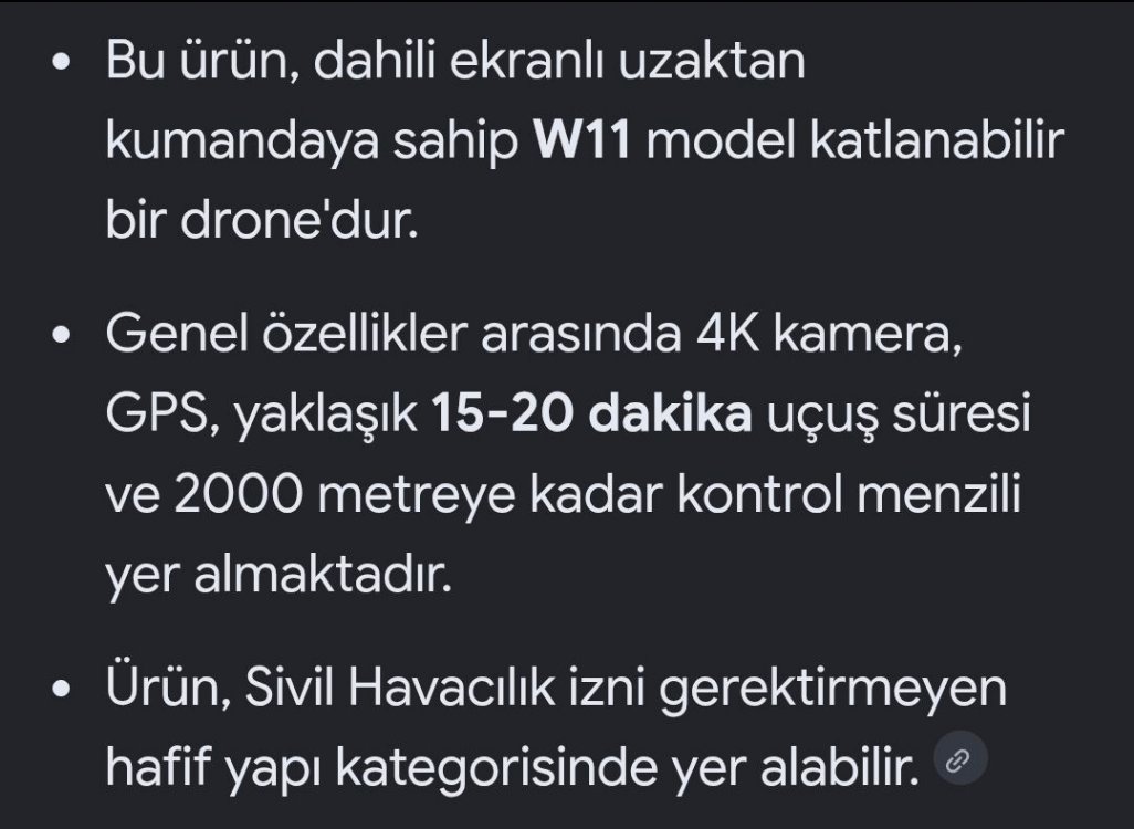 W11 Drone