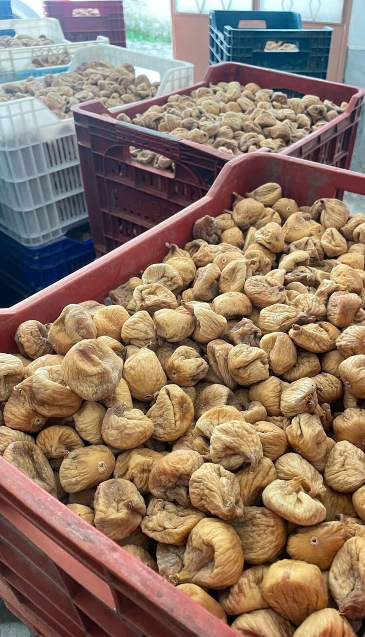 10 Kg 36-40 Adetli Süzme Lüx Dağ İnciri
