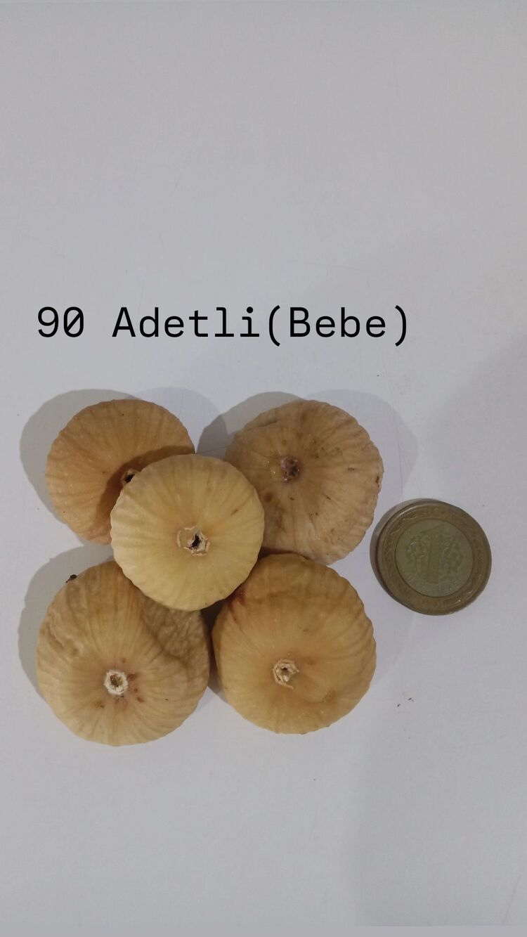 1 Kg 90-100 Adetli (bebe) Dağ İnciri