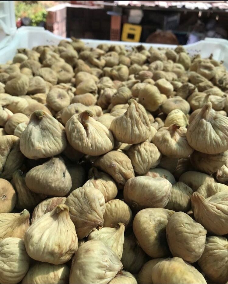 10 Kg 51-55 Adetli Dağ inciri