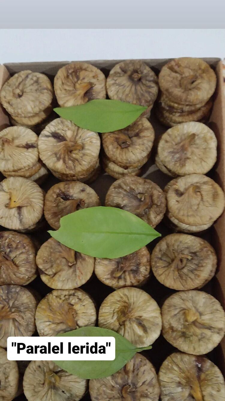 2.5 Kg Parelel Lerida Dağ İnciri