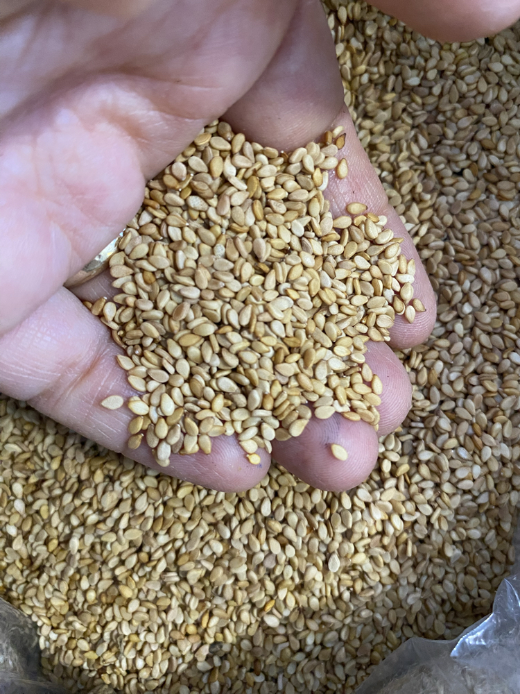 Manavgat Susamı 250 g 