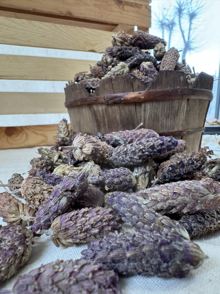 Karabaş Otu 35 g