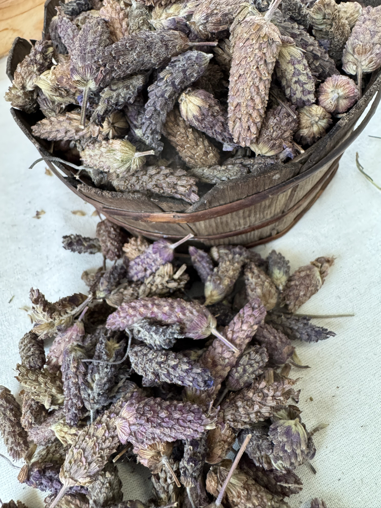 Karabaş Otu 35 g