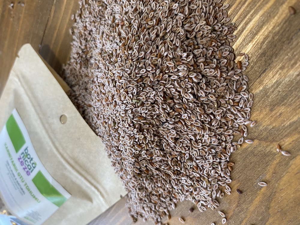 Karnıyarık Otu Tohumu 100 g