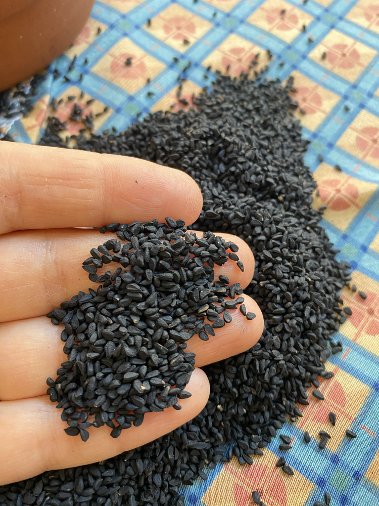 Çörekotu Tohumu 250g