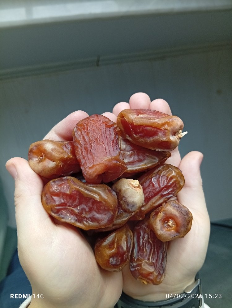 sugai hurma