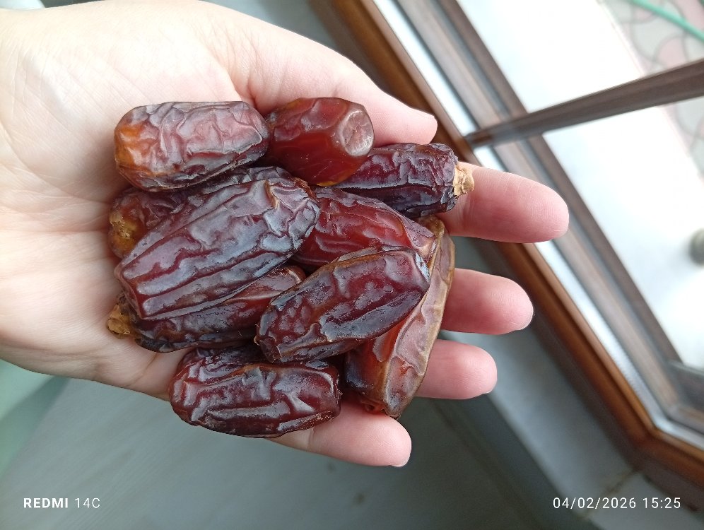 Medine hurması mebrum