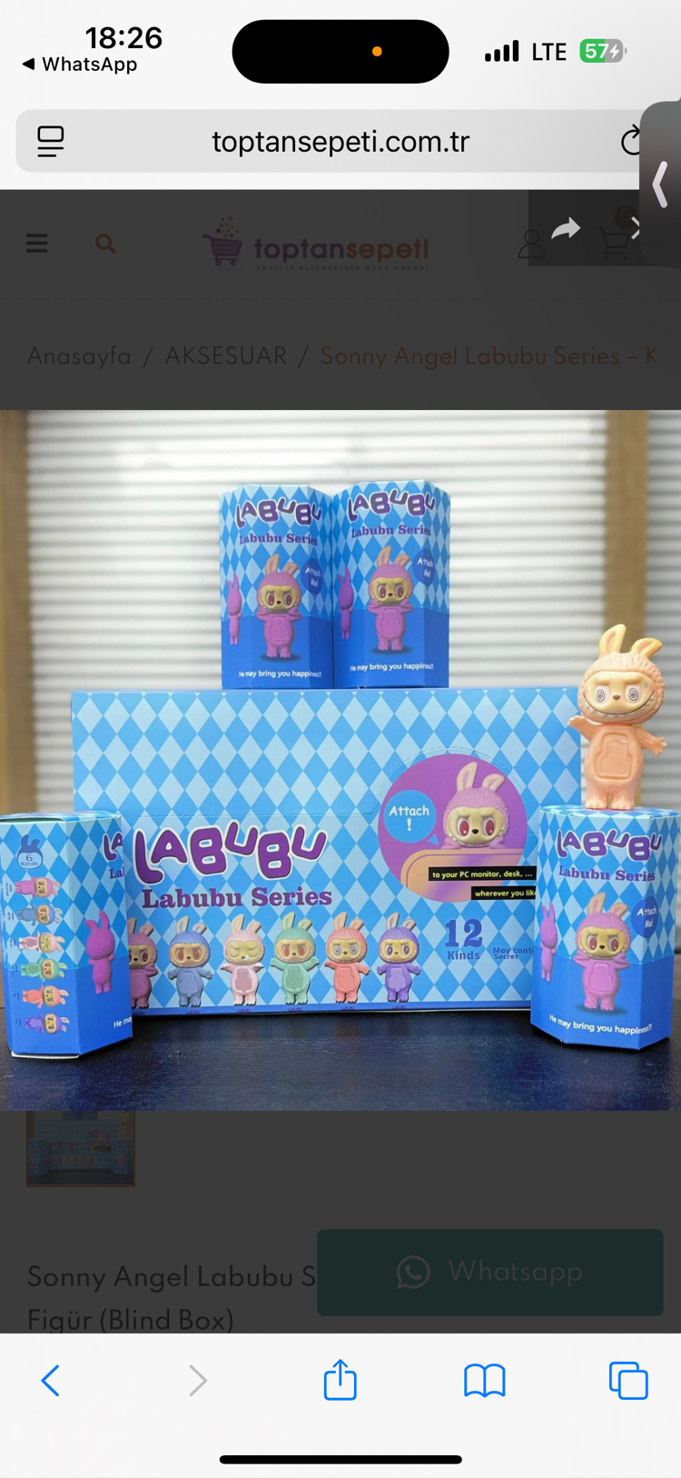 Sonny Angel Labubu