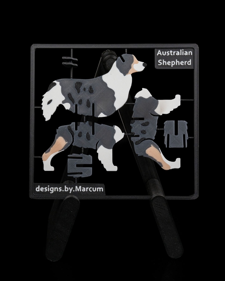 Avustralya Çoban Köpeği (Australian Shepherd) 3D Maket