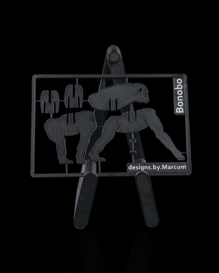 Bonobo 3D Maket | Dekoratif Koleksiyon Figürü