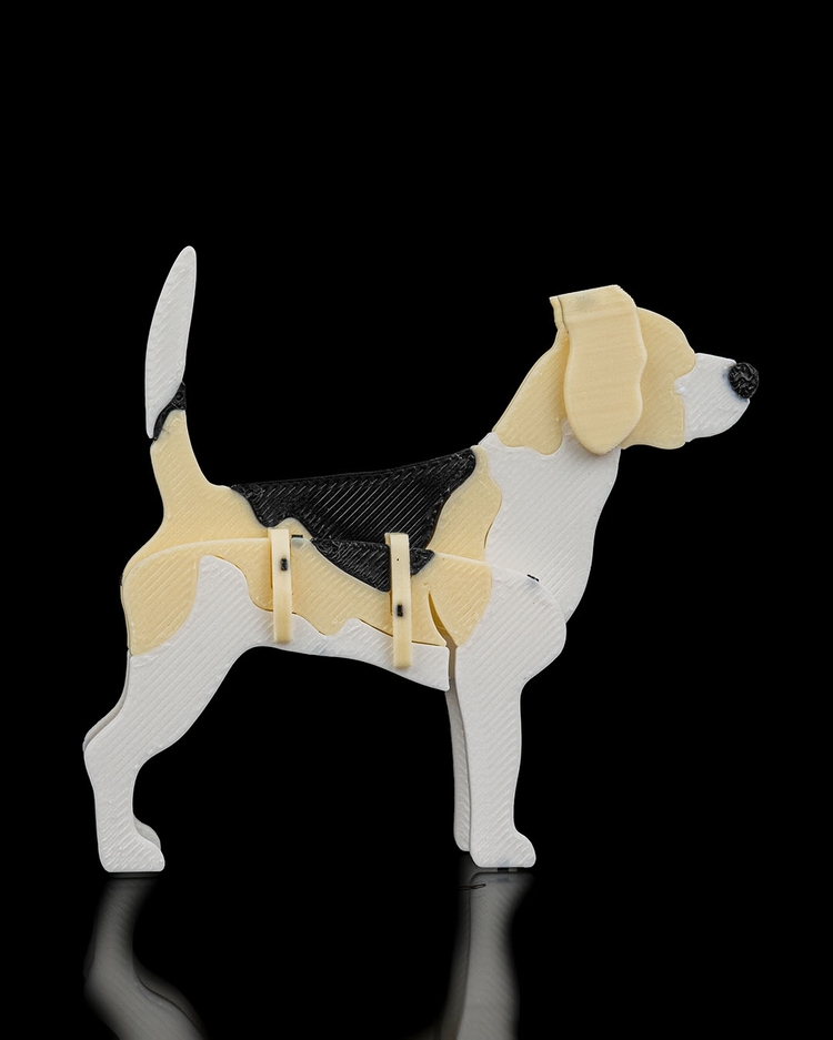 Beagle Köpeği 3D Maket | Sevimli Koleksiyon Figürü