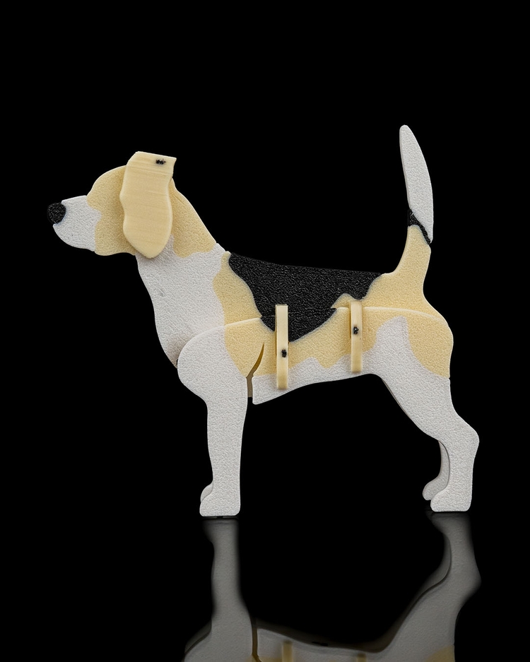 Beagle Köpeği 3D Maket | Sevimli Koleksiyon Figürü