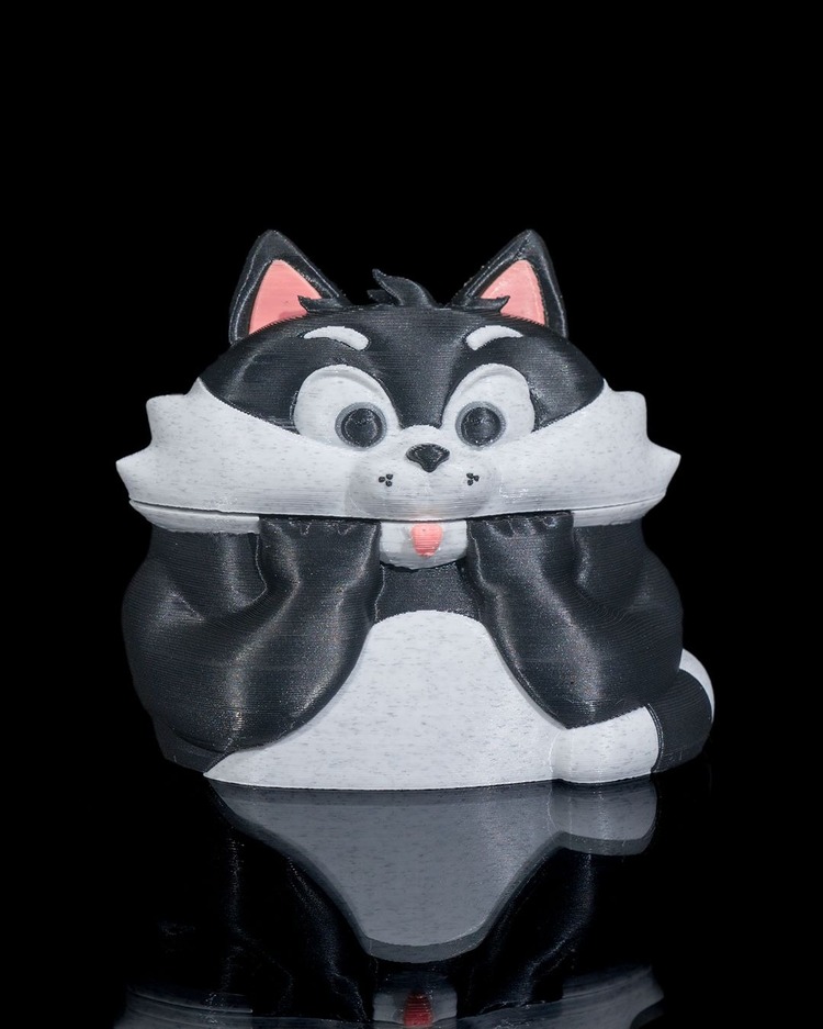 Pun Kitty Kulaklık Kutusu - Sevimli ve Eğlenceli Tasarım