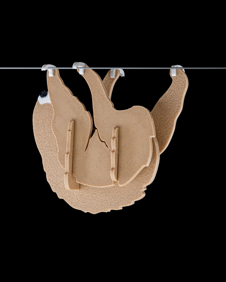 Tembel Hayvan 3D Maket | Koleksiyonluk Dekoratif Figür