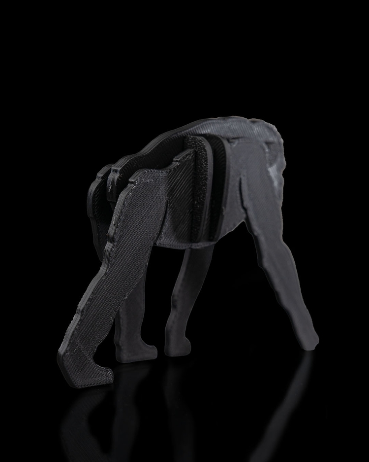 Bonobo 3D Maket | Dekoratif Koleksiyon Figürü