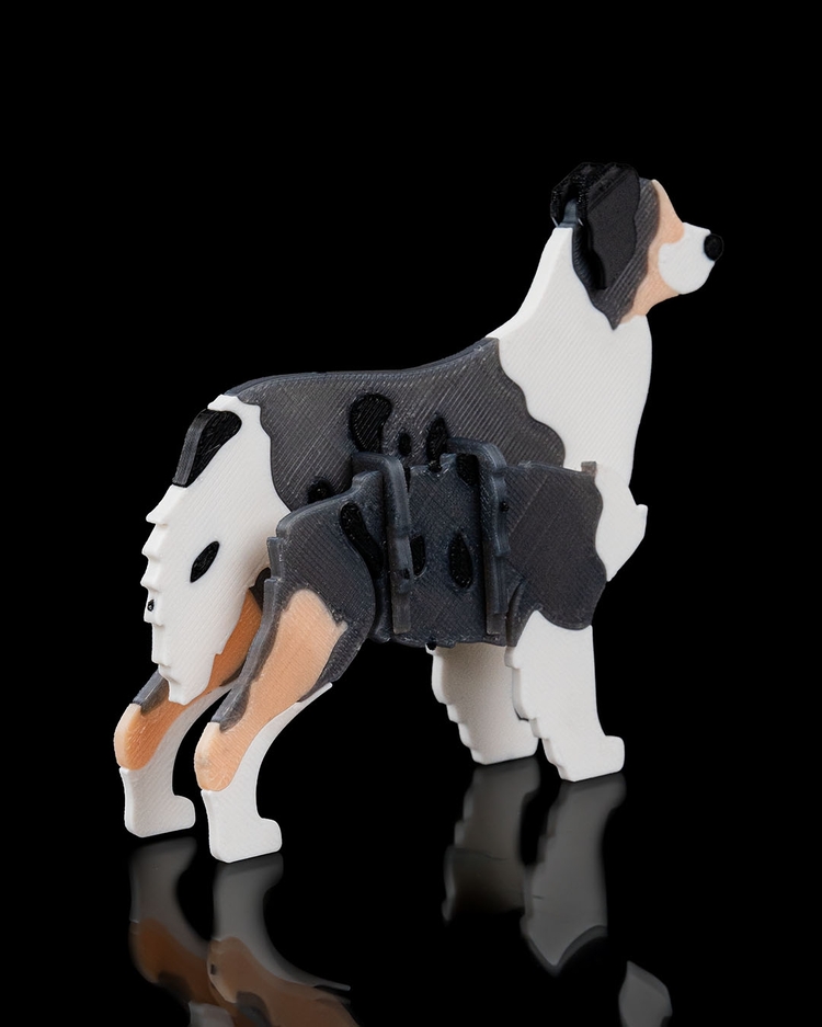Avustralya Çoban Köpeği (Australian Shepherd) 3D Maket
