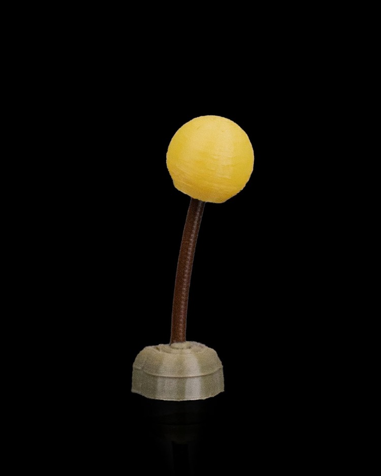 Çalı Magnet Seti | 3D Baskı Dekoratif Buzdolabı Magneti | Ek Paket Seçenekli