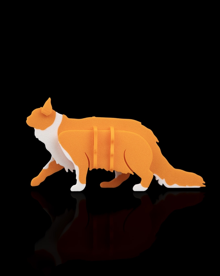 Maine Coon Kedi 3D Maket | Koleksiyonluk Figür