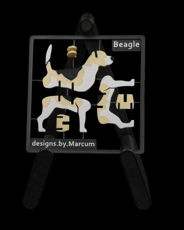 Beagle Köpeği 3D Maket | Sevimli Koleksiyon Figürü