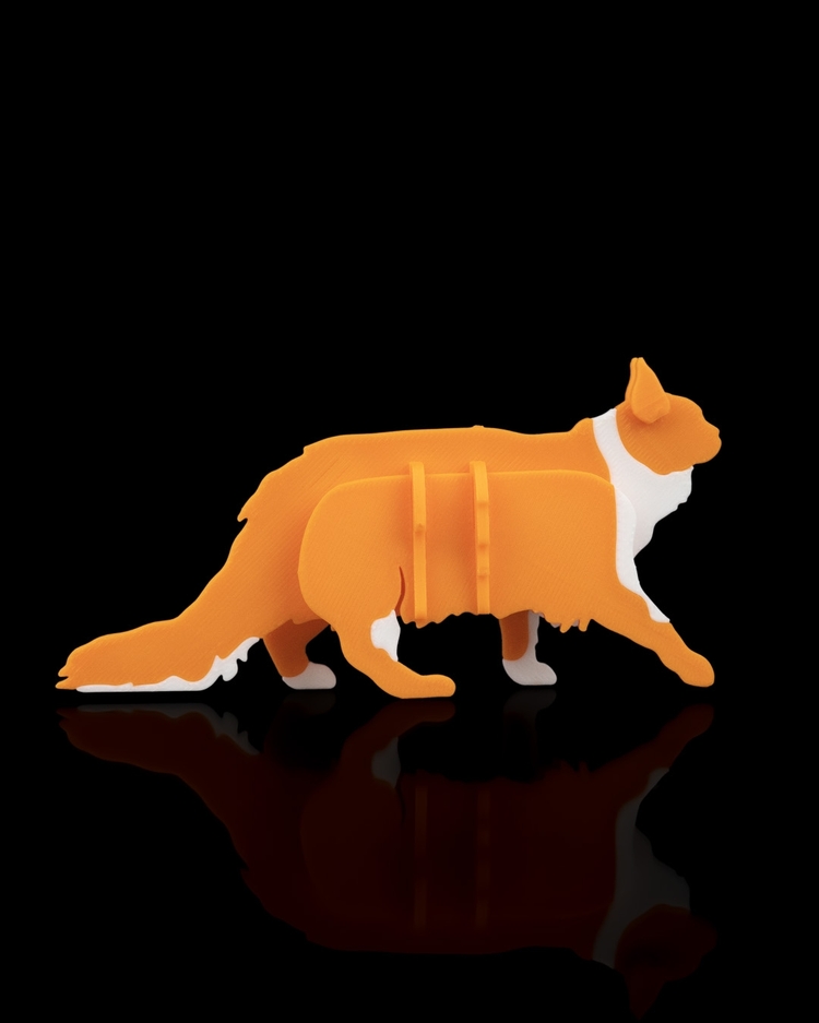 Maine Coon Kedi 3D Maket | Koleksiyonluk Figür