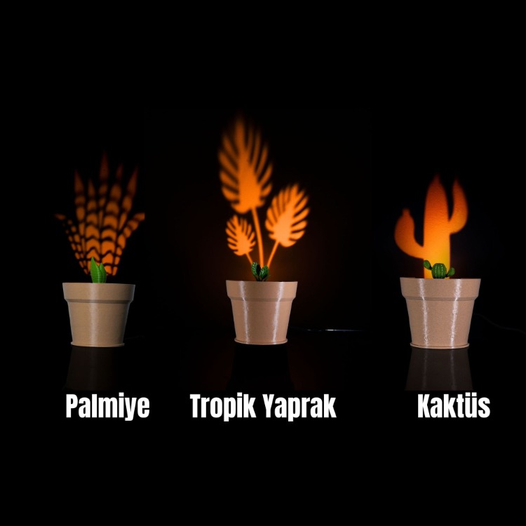 Dekoratif Saksı Gece Lambası | 3 Farklı Model