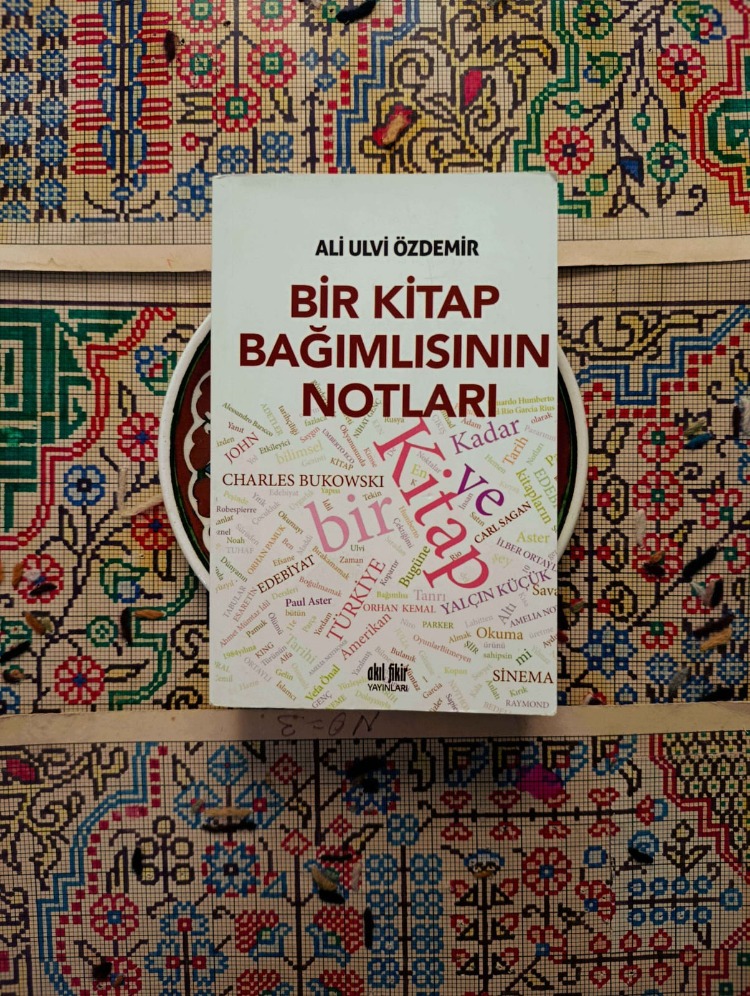 Bir Kitap Bağımlısının Notları - Ali Ulvi Özdemir