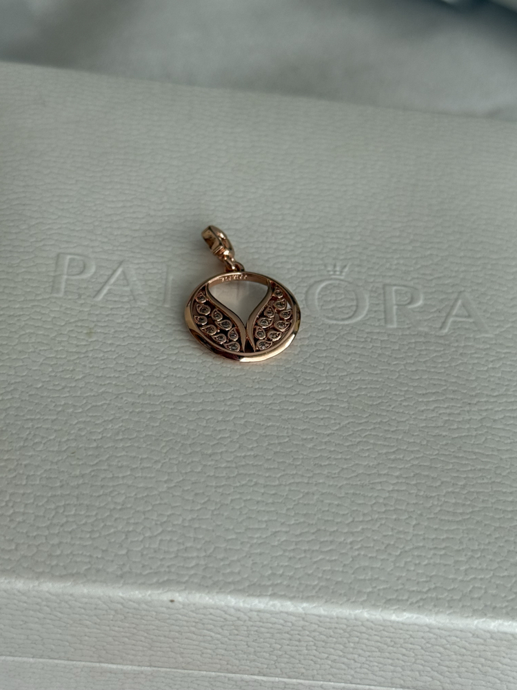 Pandr alevli kanatlı madalyon charm
