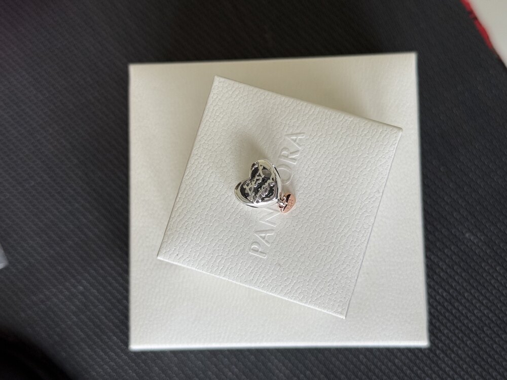 Best friend arkadaşım pandor charm