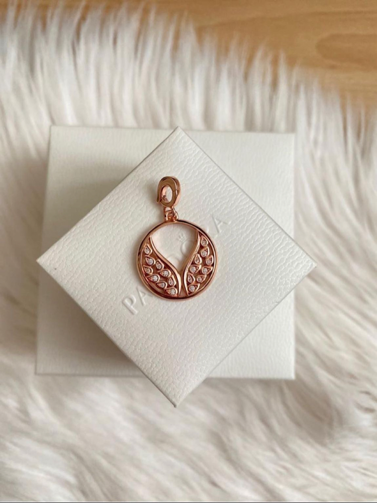 Pandr alevli kanatlı madalyon charm