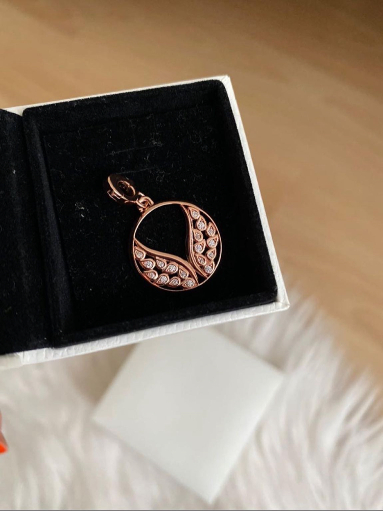 Pandr alevli kanatlı madalyon charm