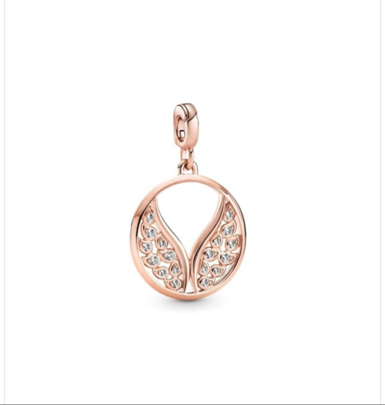 Pandr alevli kanatlı madalyon charm