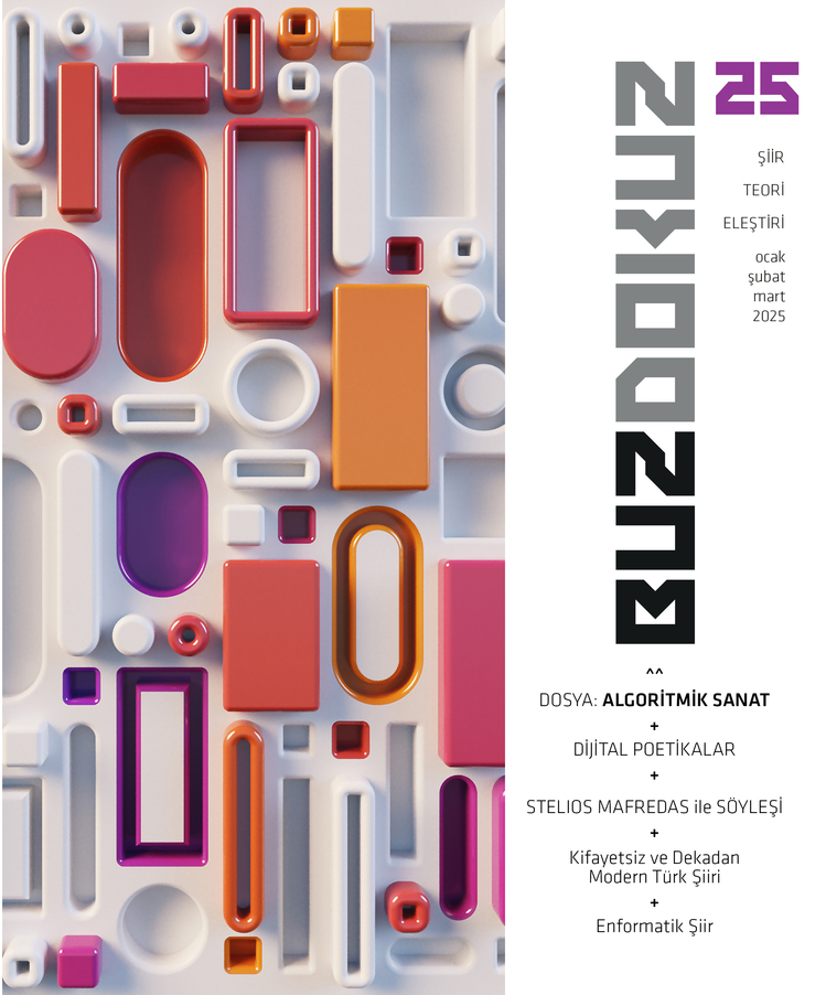 BUZDOKUZ DERGİ 25. SAYI