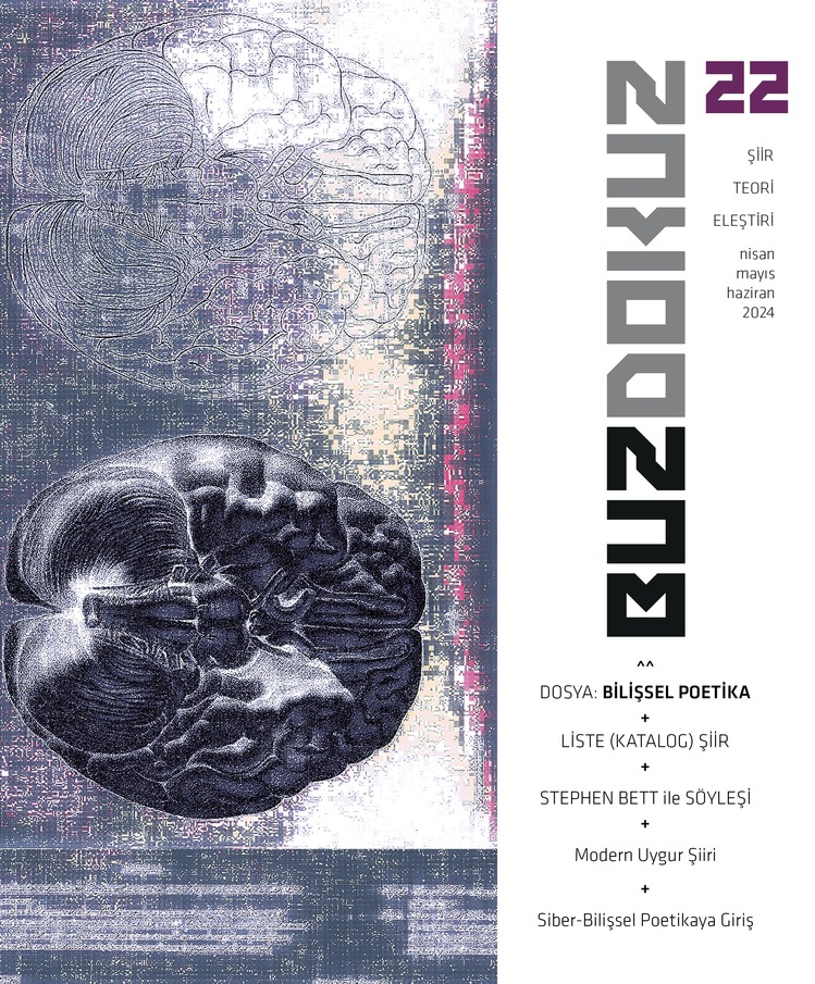 Buzdokuz Dergi 22. Sayı