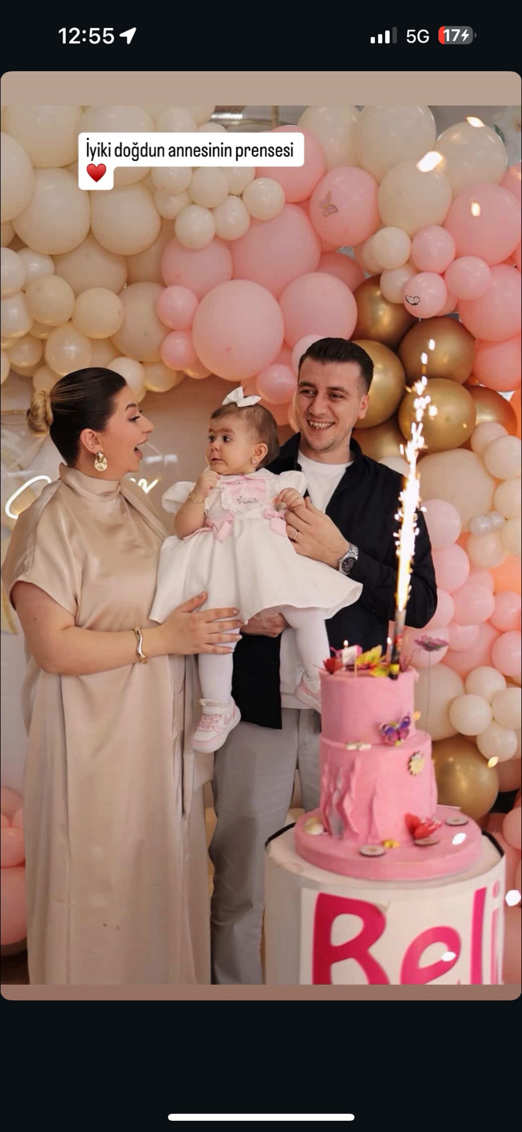 Kuğu nakışlı elbise 