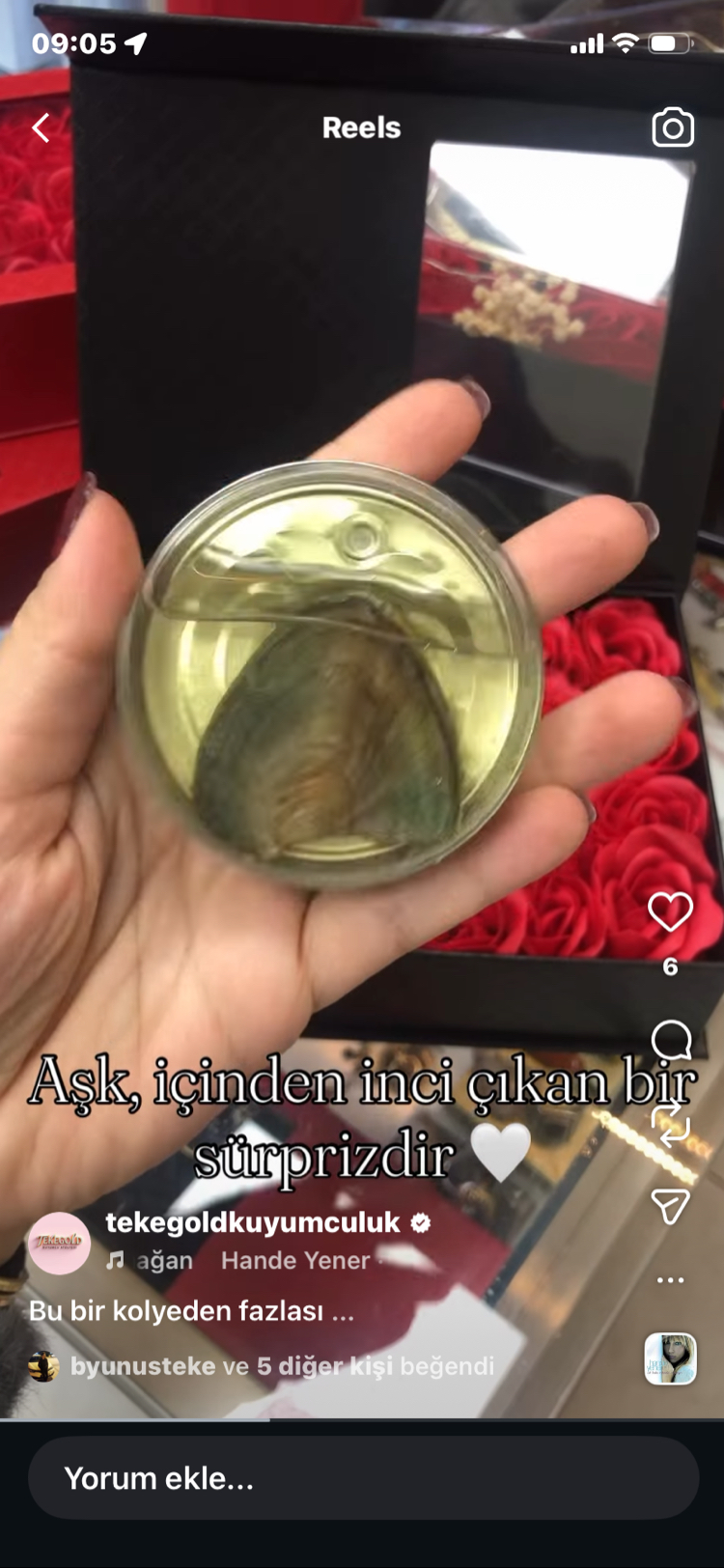 İstiridye kolye