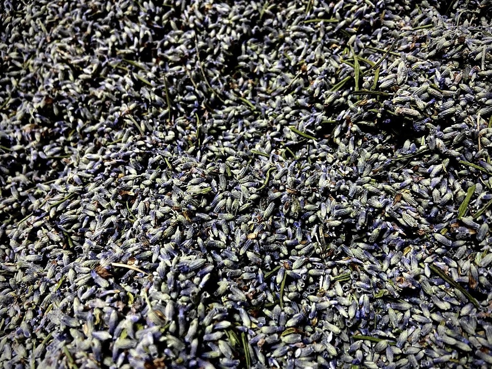 Tıbbi Lavanta Çayı - 20 GR