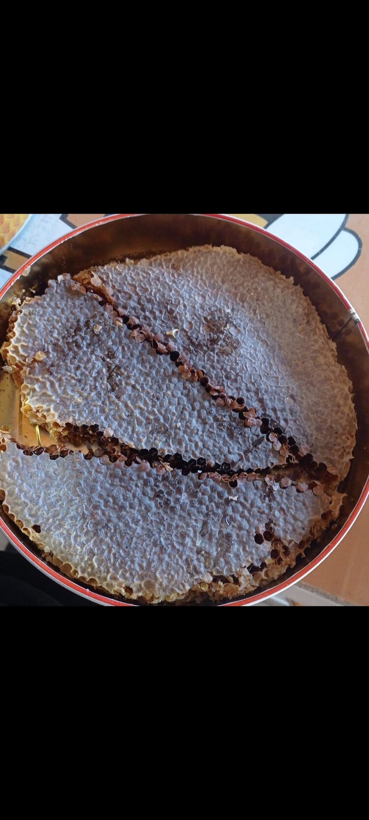 KARAKOVAN PETEK BAL