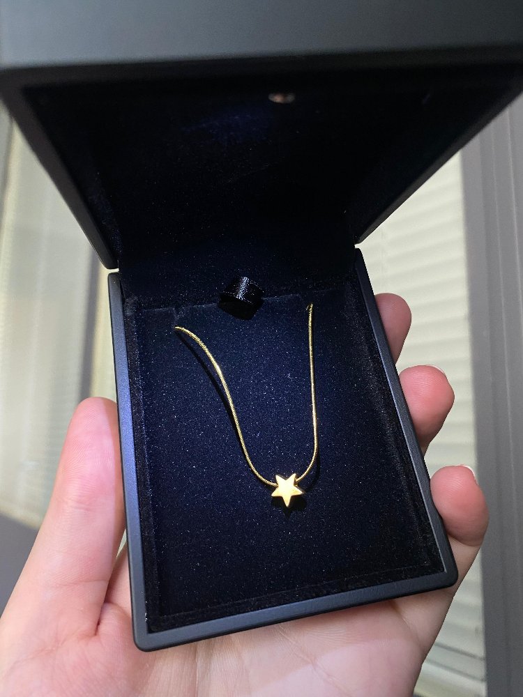 Çelik Mini Gold Yıldız Kolye