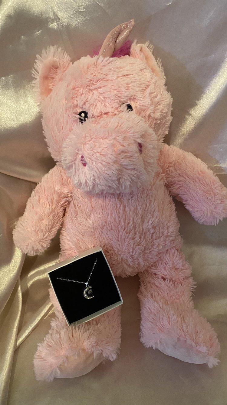 Pembe ithal peluş unicorn + 100 dilde seni seviyorum kolyesi