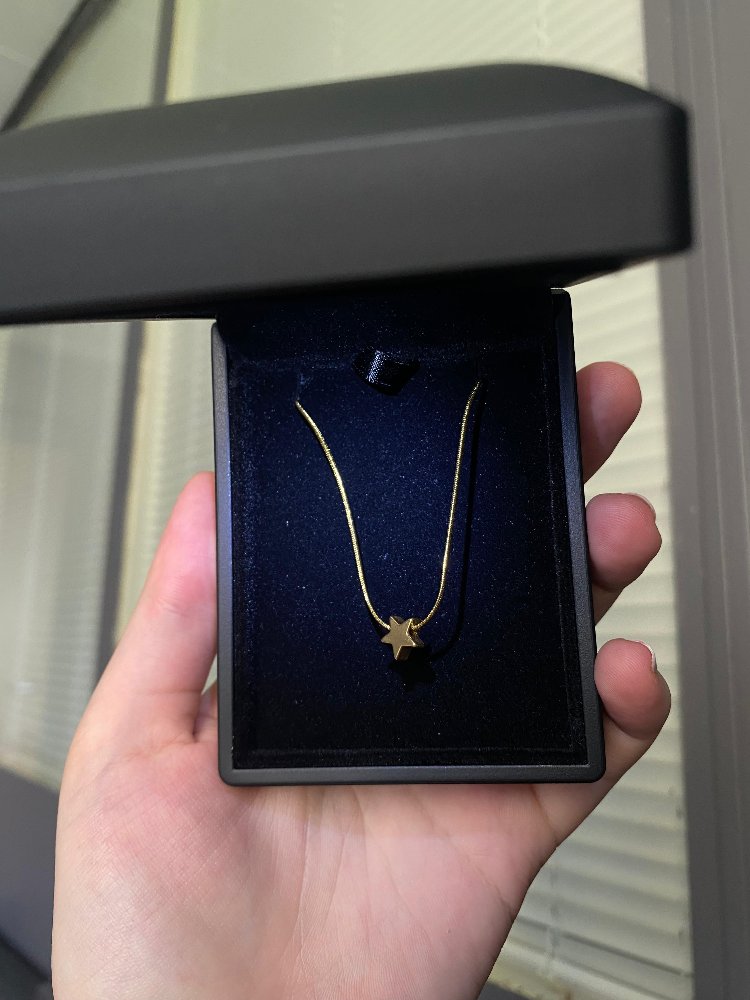 Çelik Mini Gold Yıldız Kolye