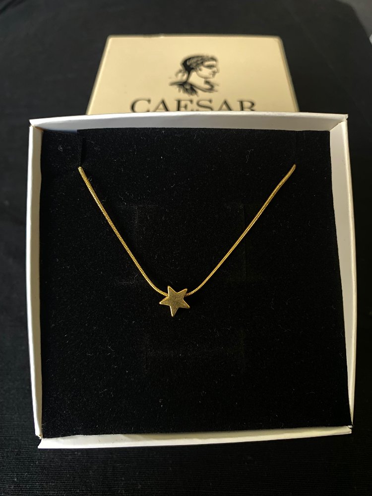 Çelik Mini Gold Yıldız Kolye