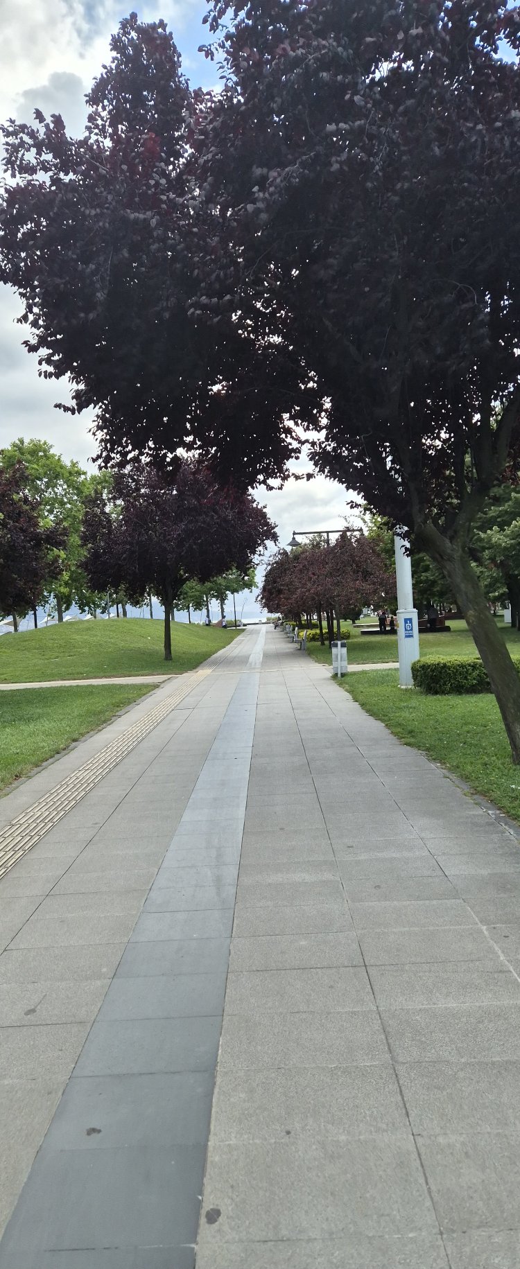 Kör Noktalar 