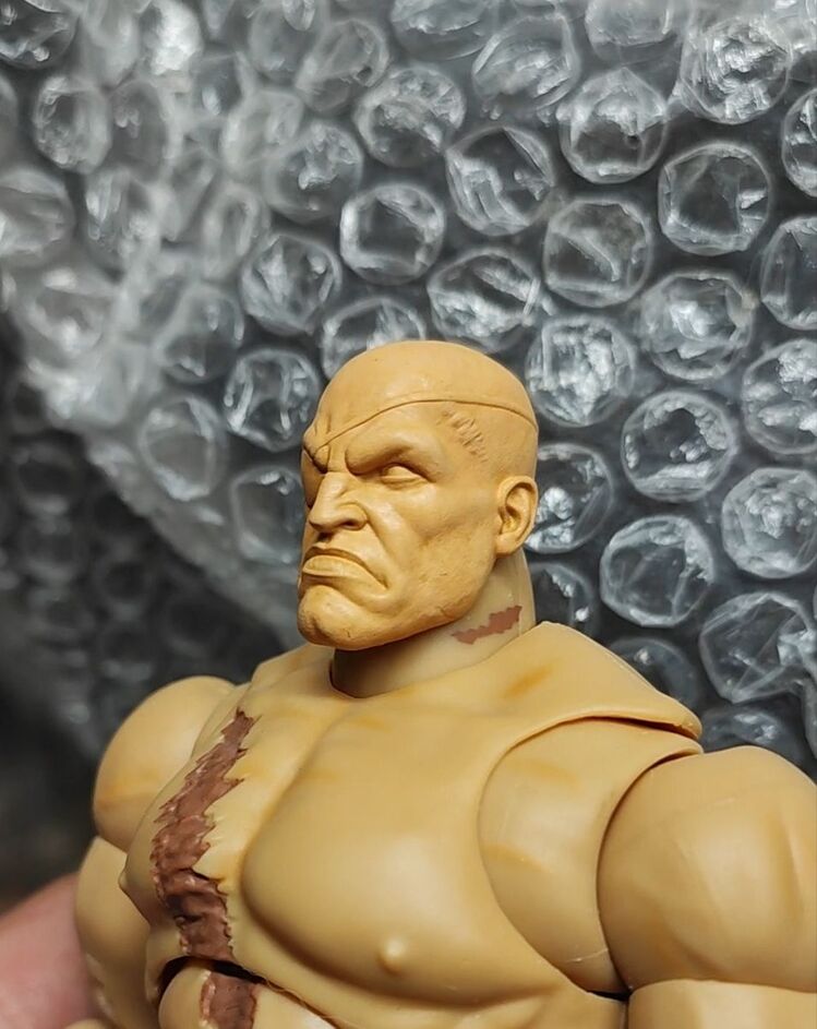 2 Sagat Head for jada toys (screaming and Cool expression)