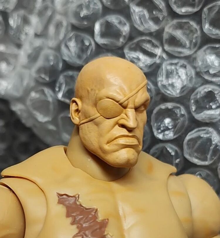 2 Sagat Head for jada toys (screaming and Cool expression)