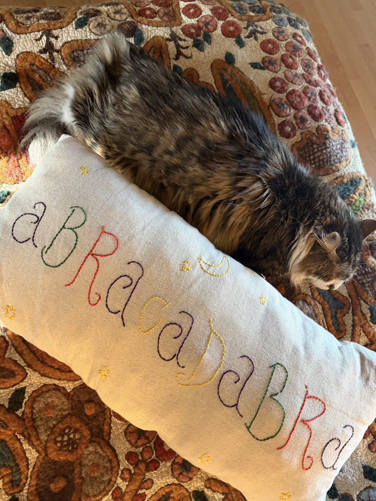 Abracadabra yastık