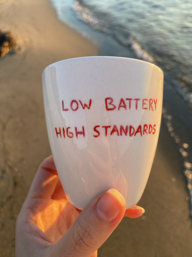 Low Battery High Standards Mug