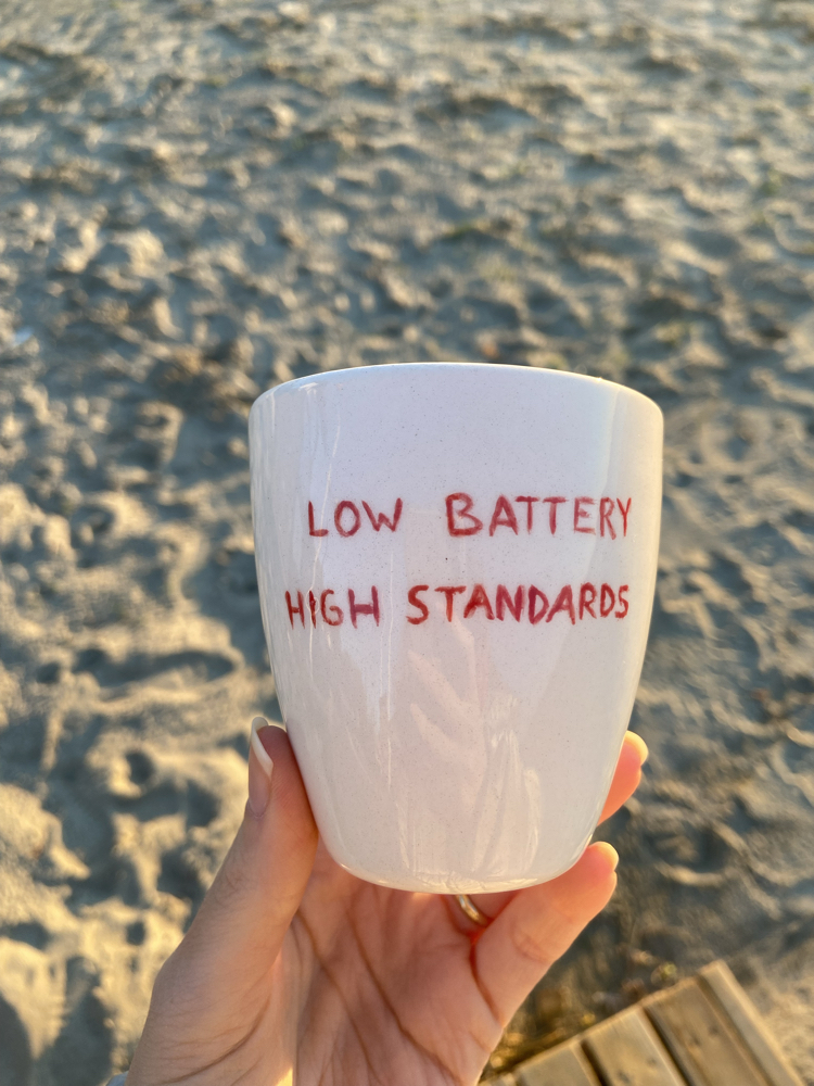 Low Battery High Standards Mug