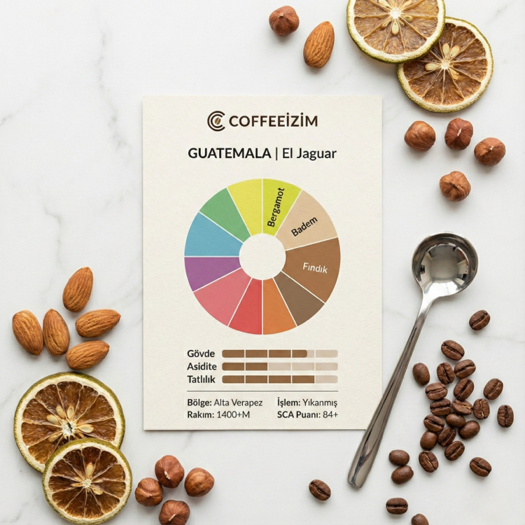 GUATEMALA EL JAGUAR | Rainforest Series